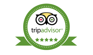 tripadvisor